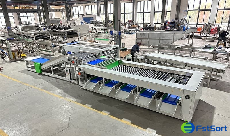 images/1703207300078sweet potato processing line.jpg